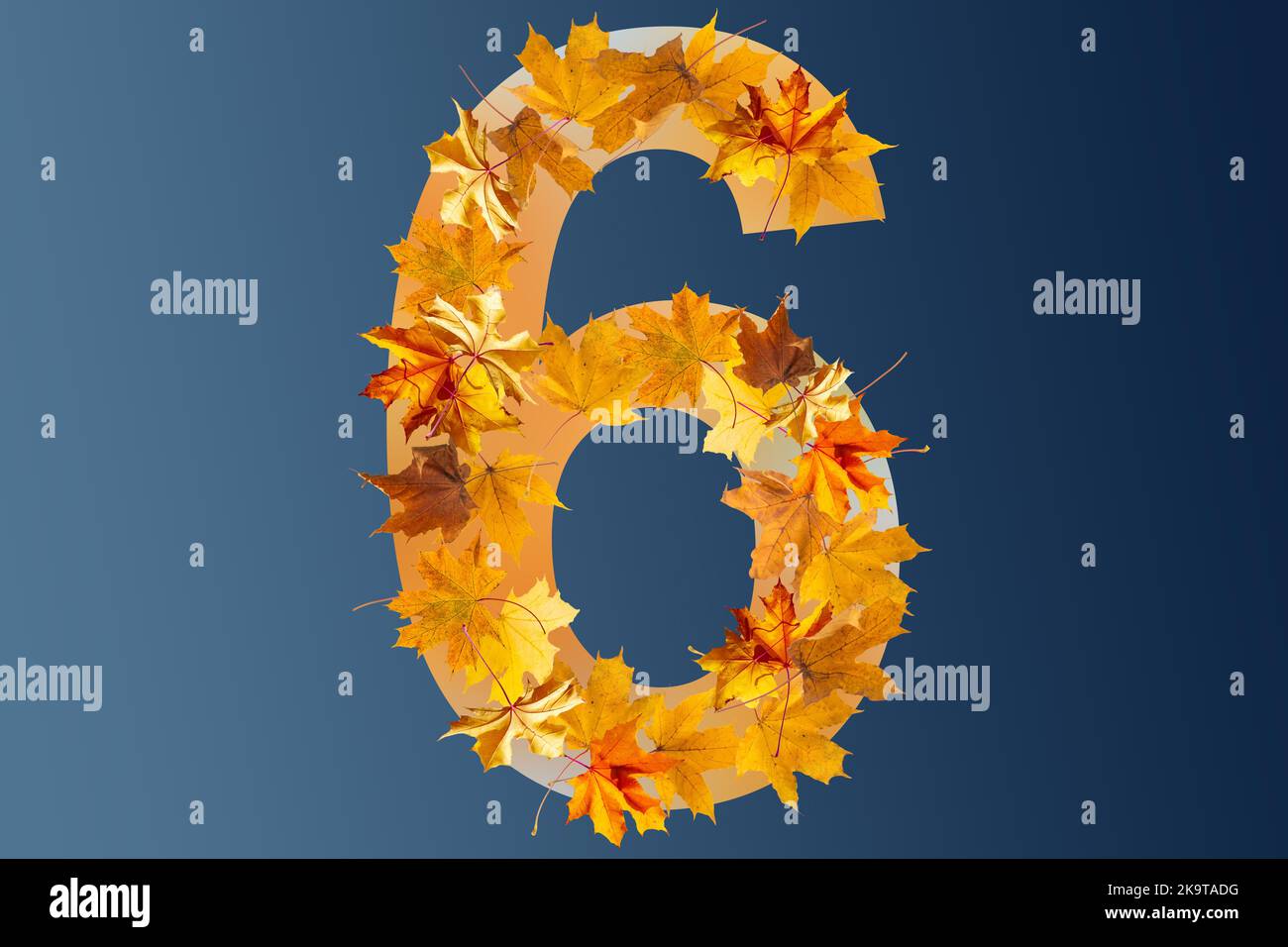 Number 6 of colorful autumn leaves. Cardinal number three mades of fall ...