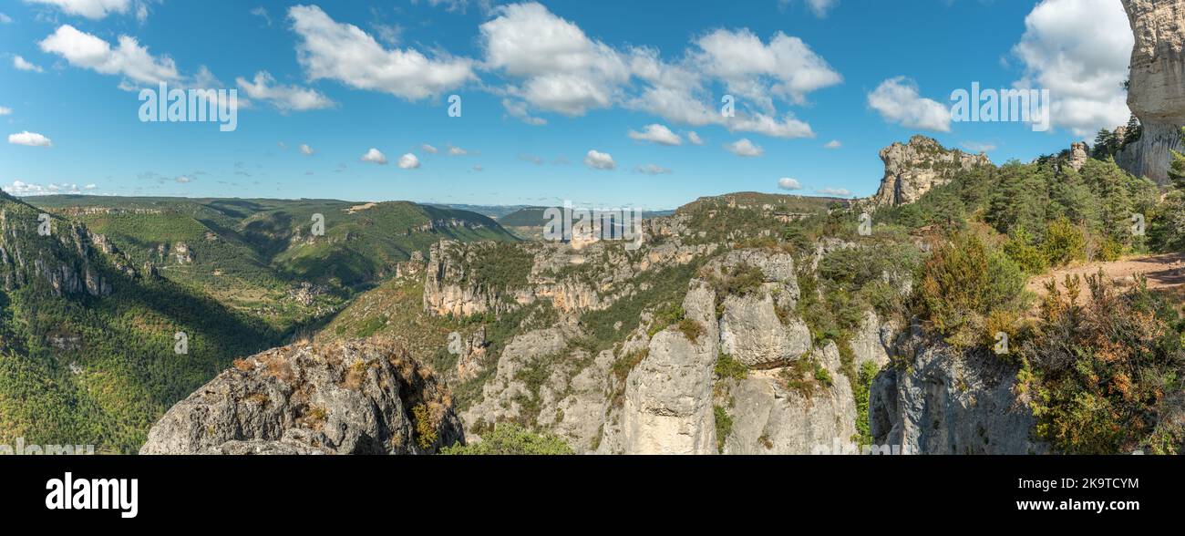Landscape of a wild and preserved valley, canyon in the Cevennes ...