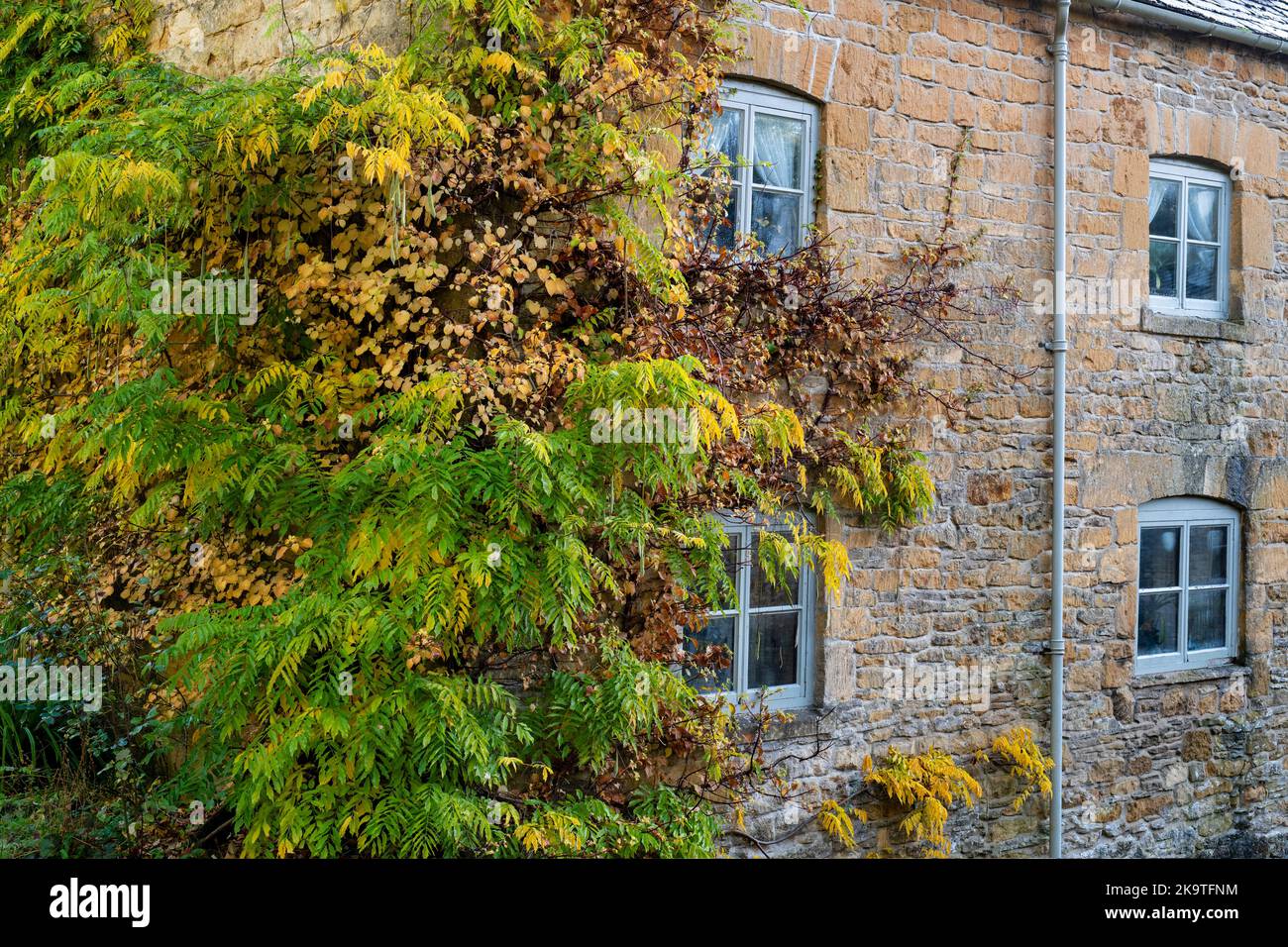 Cottage on the river windrush in autumn. Naunton. Cotswolds, Gloucestershire, England Stock Photo