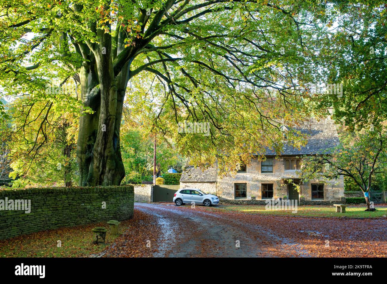 Naunton house and autumn beech tree. Naunton. Cotswolds, Gloucestershire, England Stock Photo