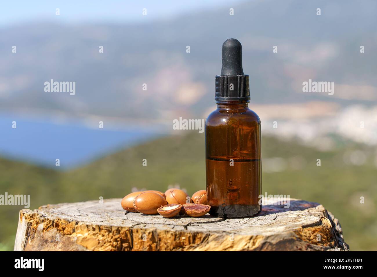 Argan seeds and oil on nature wooden background. Organic argan oil for nature cosmetics for skin, hair, massage. Morocco natural bio beauty products. High quality photo Stock Photo