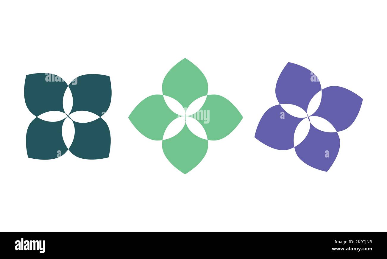 Vector floral set. Colorful purple floral collection with leaves and ...
