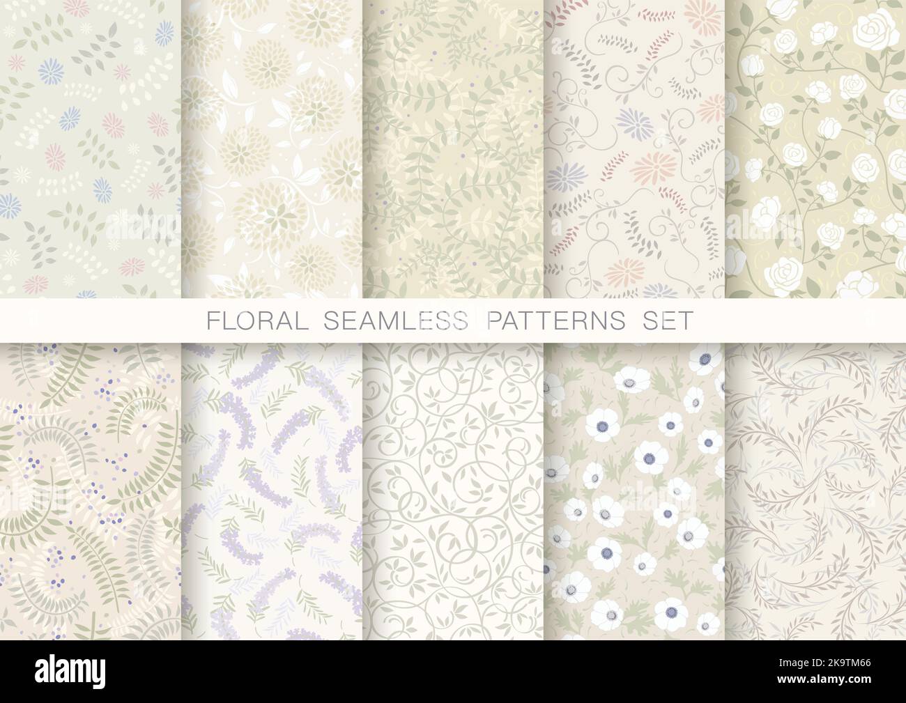 Vector Botanical Background Set With Text Space Isolated On A White Background. Stock Vector