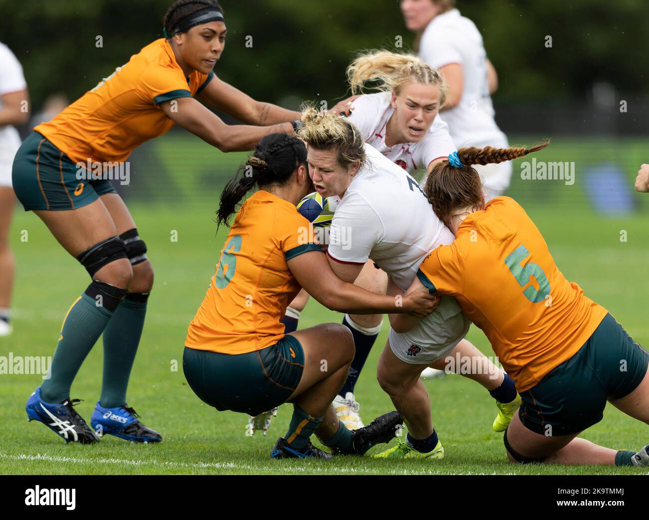Marlie packer waitakere hi-res stock photography and images - Alamy