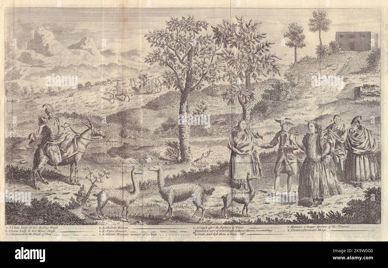 Inhabitants of Lima; their animals, the Vicuña and the Lama. Peru 1753 print Stock Photo