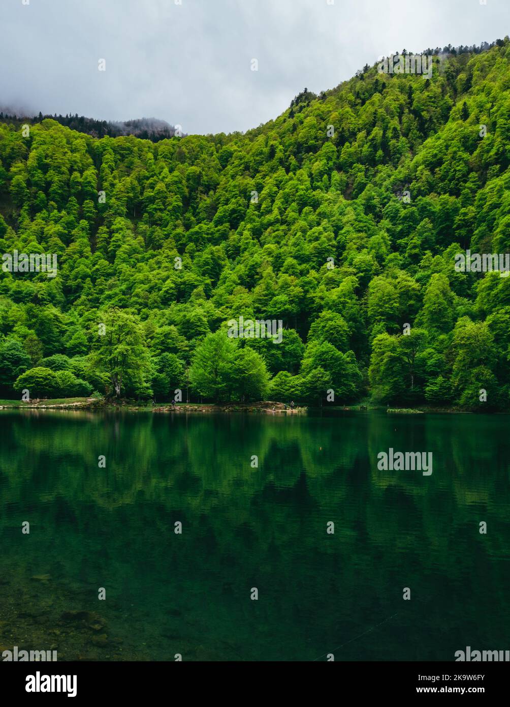View on the mountain lake of Bethmale and thre green reflection in the water in the French Pyrenees (Ariege) Stock Photo