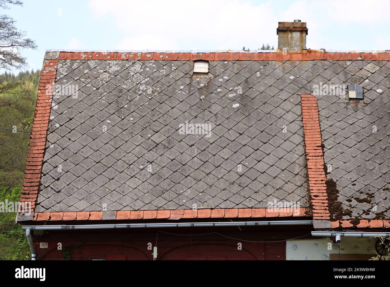 moss and algae on slate roof tiles Stock Photo Alamy