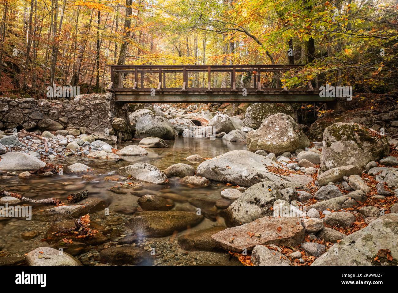 A wooden bridge crosses a stream under the autumnal trees of the forest ...