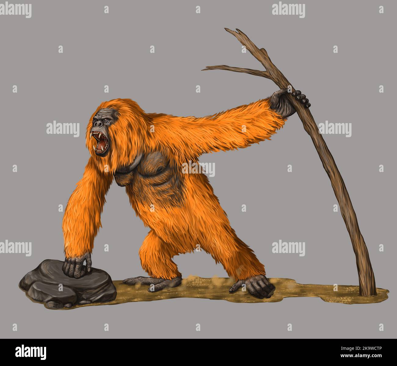 Prehistoric primates gigantopithecus. Giant orangutan. Ancestors of humans illustration. Stock Photo