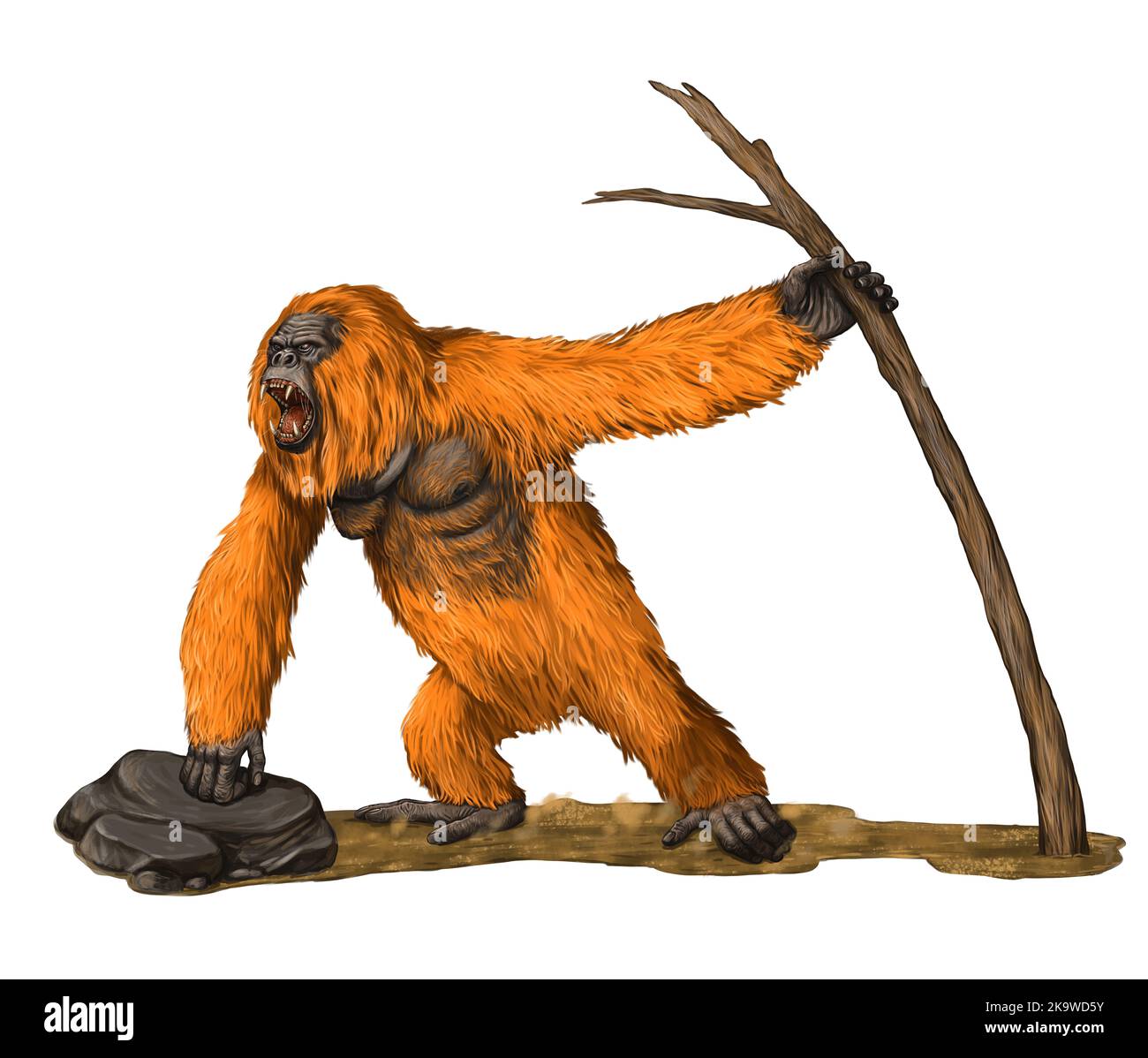 Prehistoric primates gigantopithecus. Giant orangutan. Ancestors of humans illustration. Stock Photo