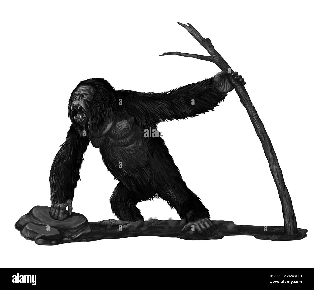 Prehistoric primates gigantopithecus. Giant orangutan. Ancestors of humans illustration. Stock Photo