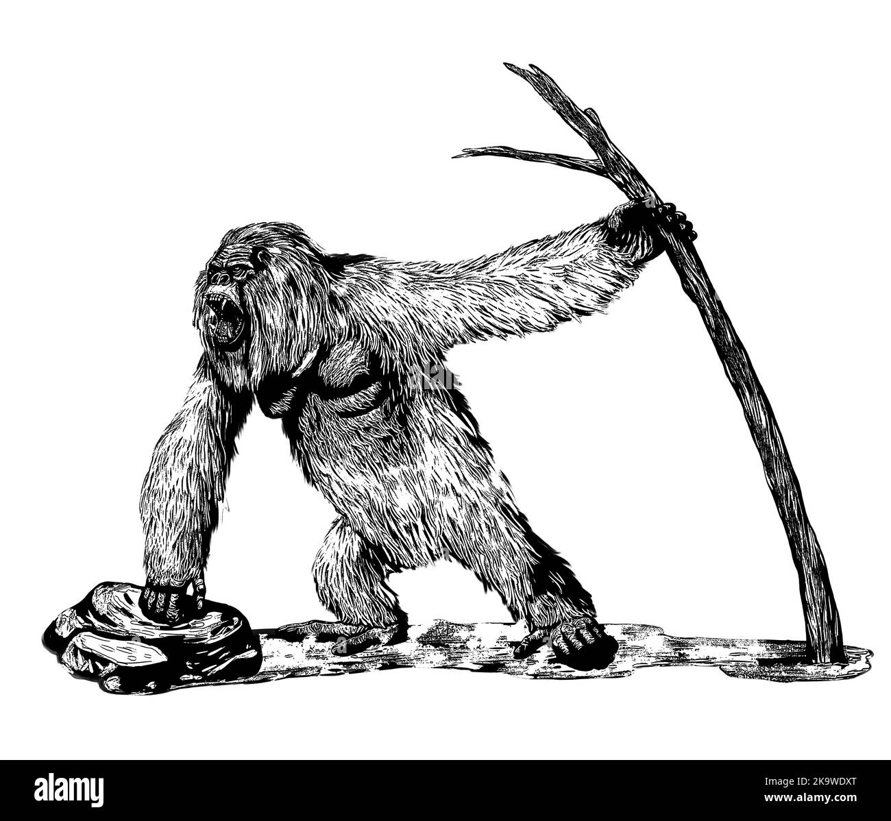 Prehistoric primates gigantopithecus. Giant orangutan. Ancestors of humans illustration. Stock Photo