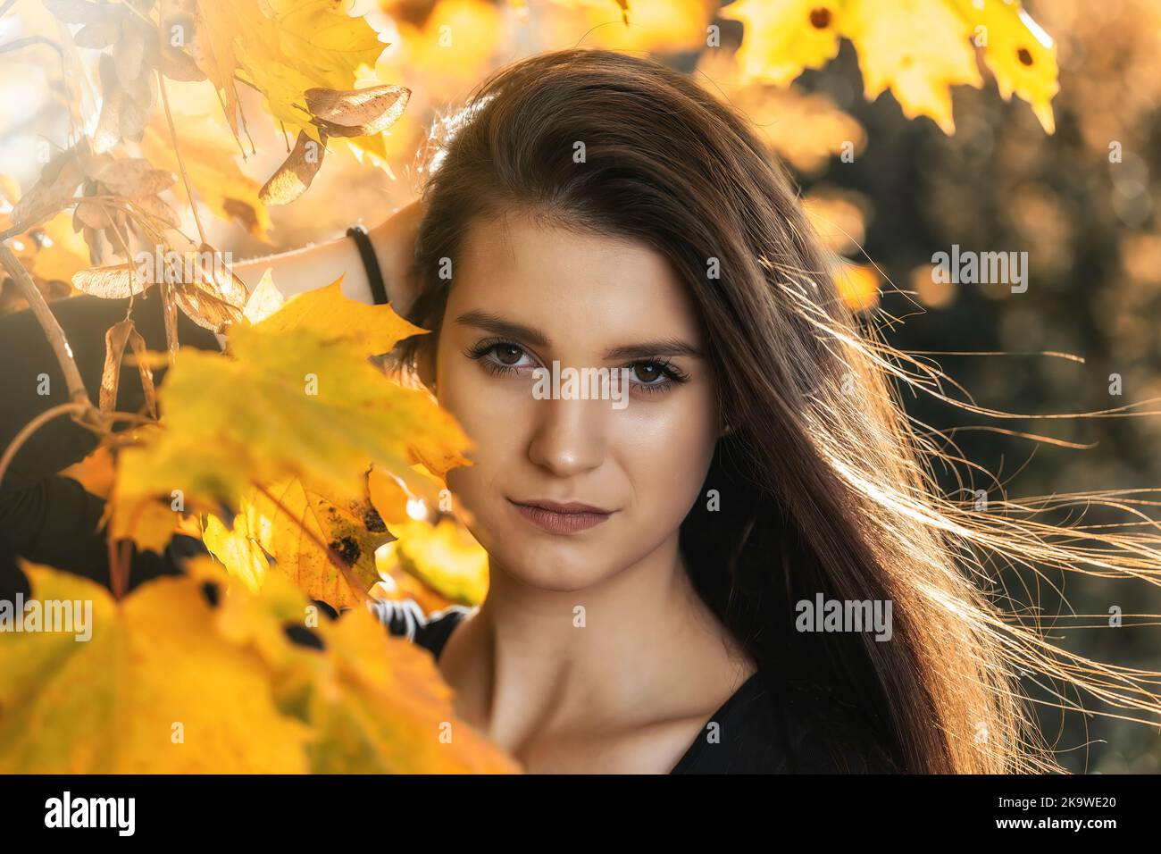 Portrait of beautiful young woman posing behind yellow maple leaves ...