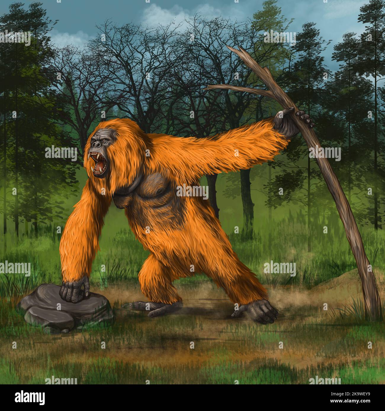 Prehistoric primates gigantopithecus in nature. Giant orangutan. Digital illustration with ancestor of human. Stock Photo