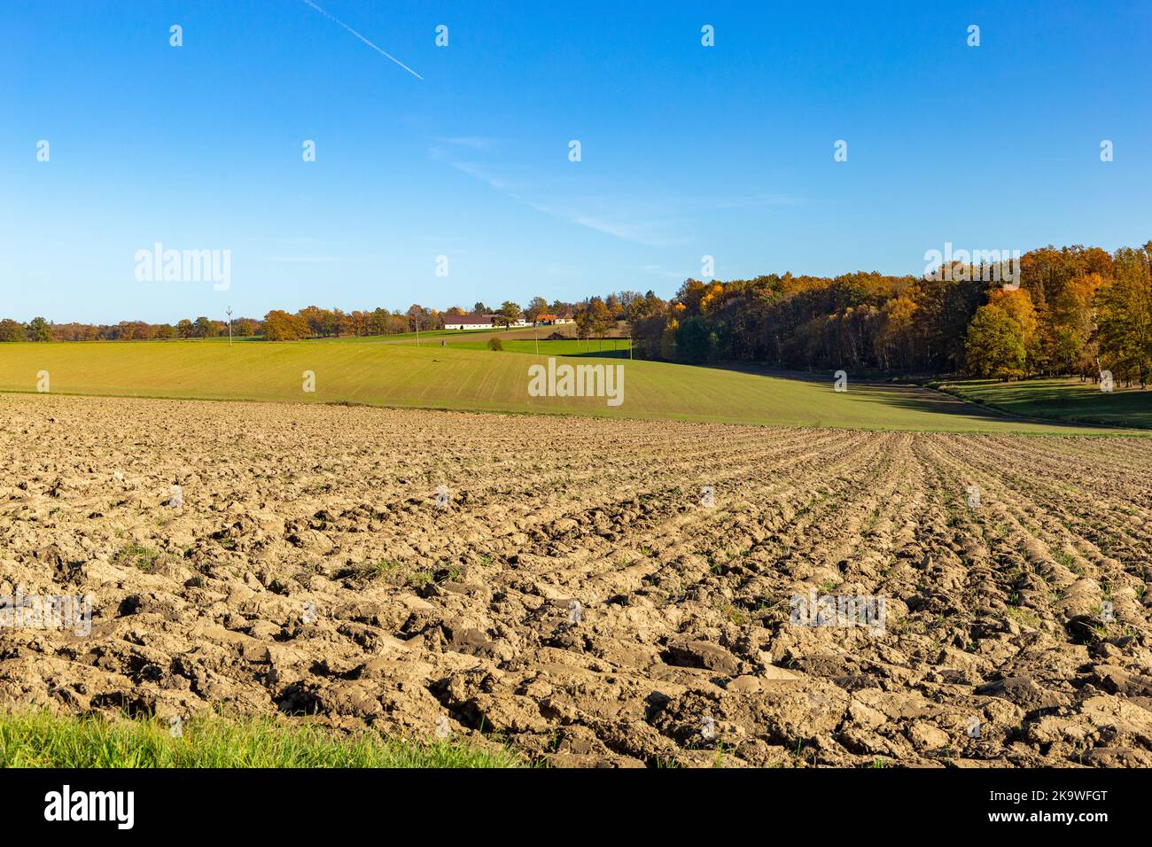 Autumn rural landscape with forest, fields and blue sky Stock Photo - Alamy