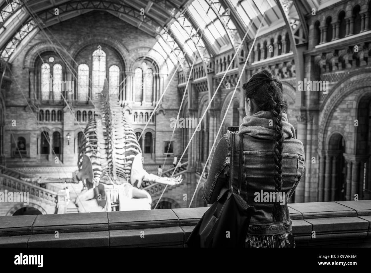 The famous Natural History Museum in London Stock Photo