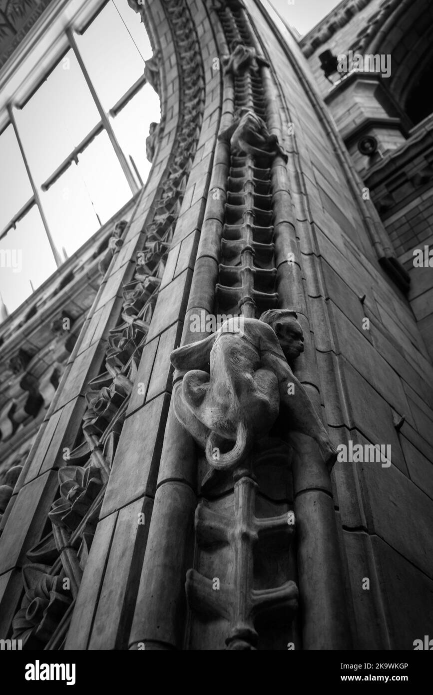 the-famous-natural-history-museum-in-london-stock-photo-alamy