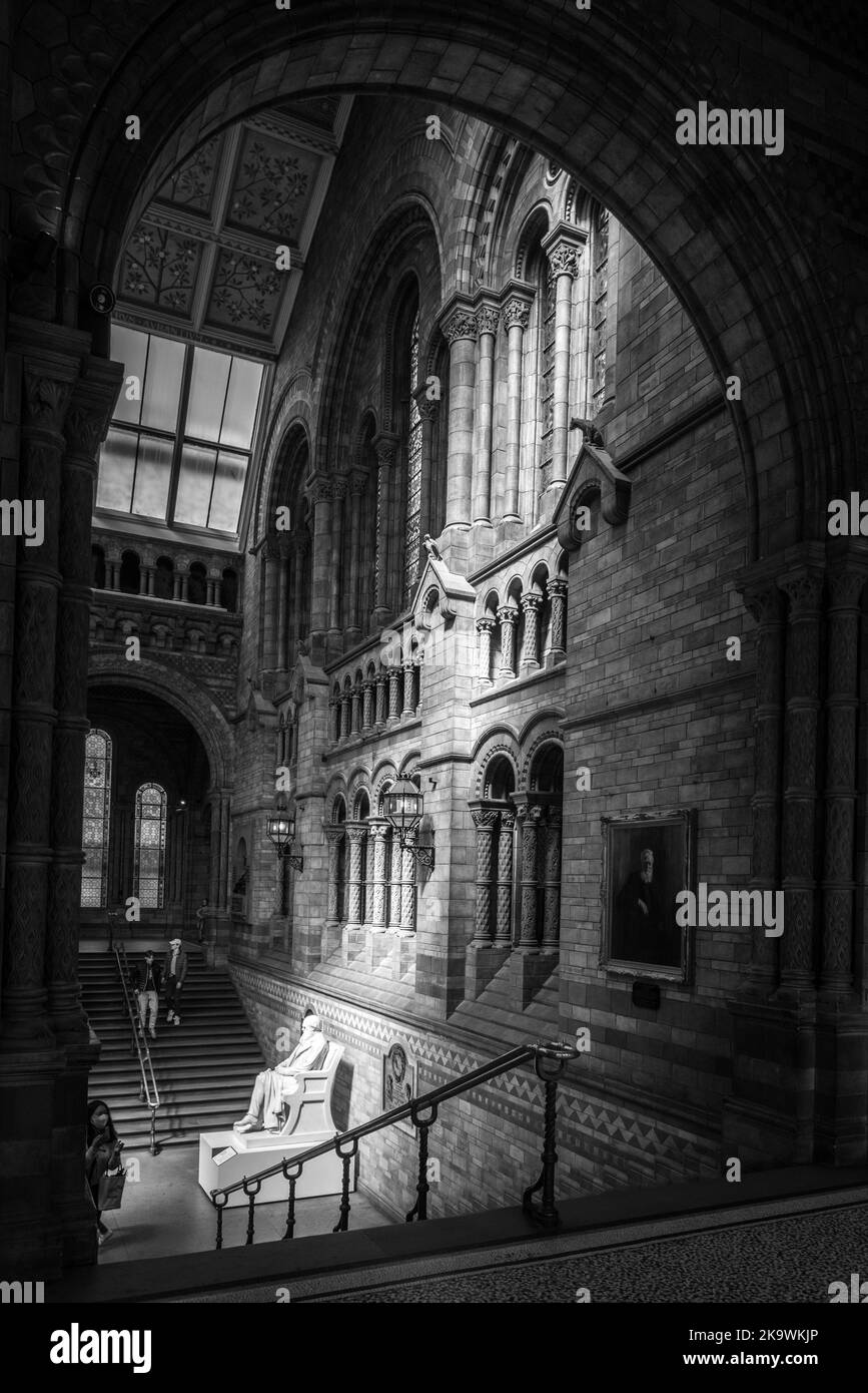 The Famous Natural History Museum In London Stock Photo Alamy the-famous-natural-history-museum-in-london-stock-photo-alamy