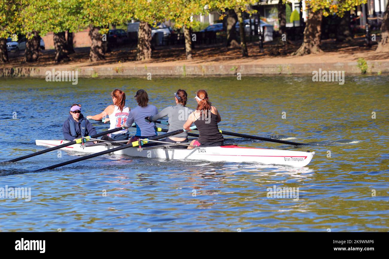 Coxed fours rowing on the Great Ouse in Bedford. Female rowers Stock