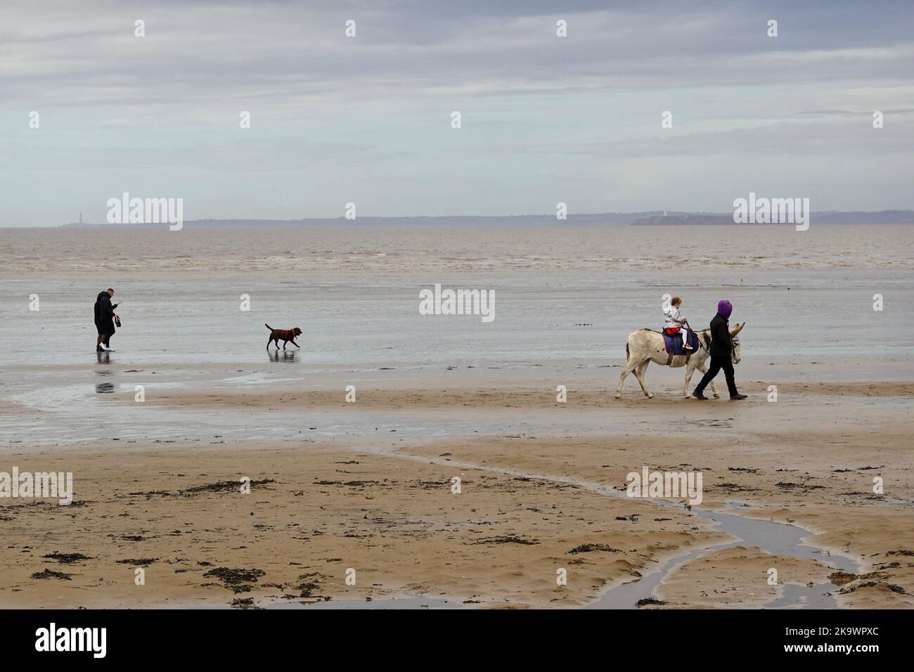 Western-Super-Mare, UK. 30th Oct, 2022. A brave girl enjoys the donkey ride between the showers of rain. Credit: Julian Kemp/Alamy Live News Stock Photo