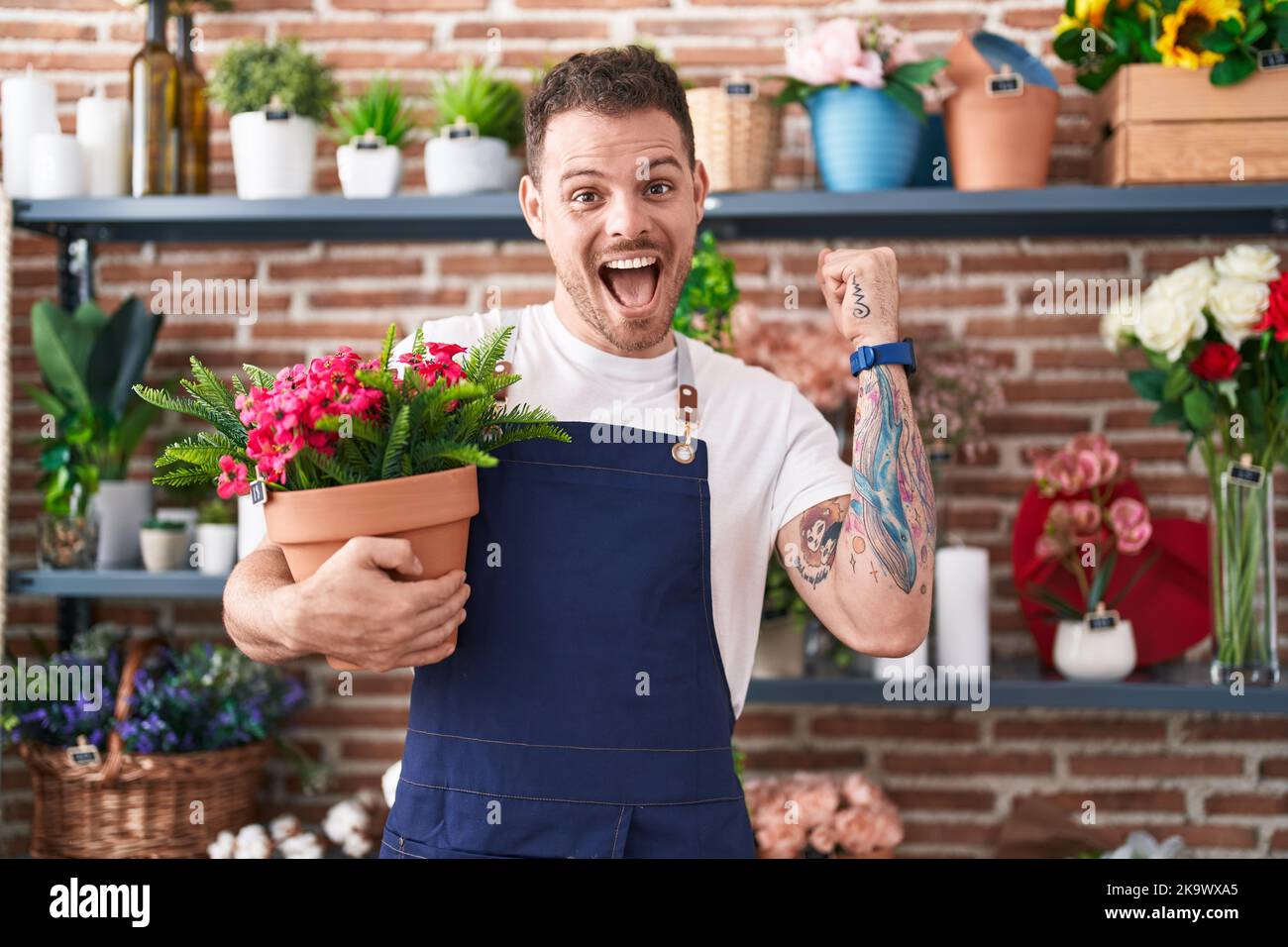 Young hispanic man working at florist shop holding plant pot screaming proud, celebrating victory and success very excited with raised arm Stock Photo