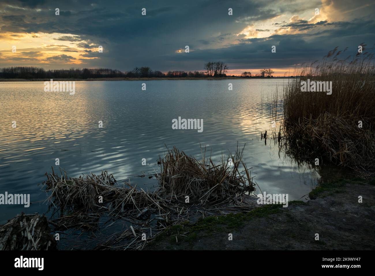 Evening view of the lake in eastern Poland, Lubelskie, Stankow Stock Photo