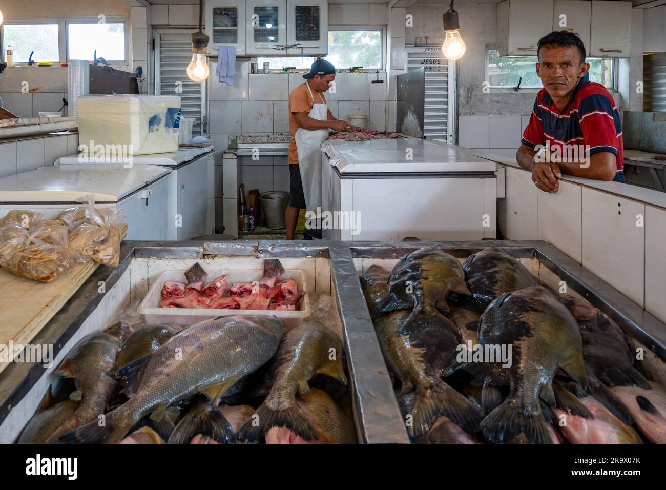 Two men selling varieties of fresh water fish from the Amazon river at