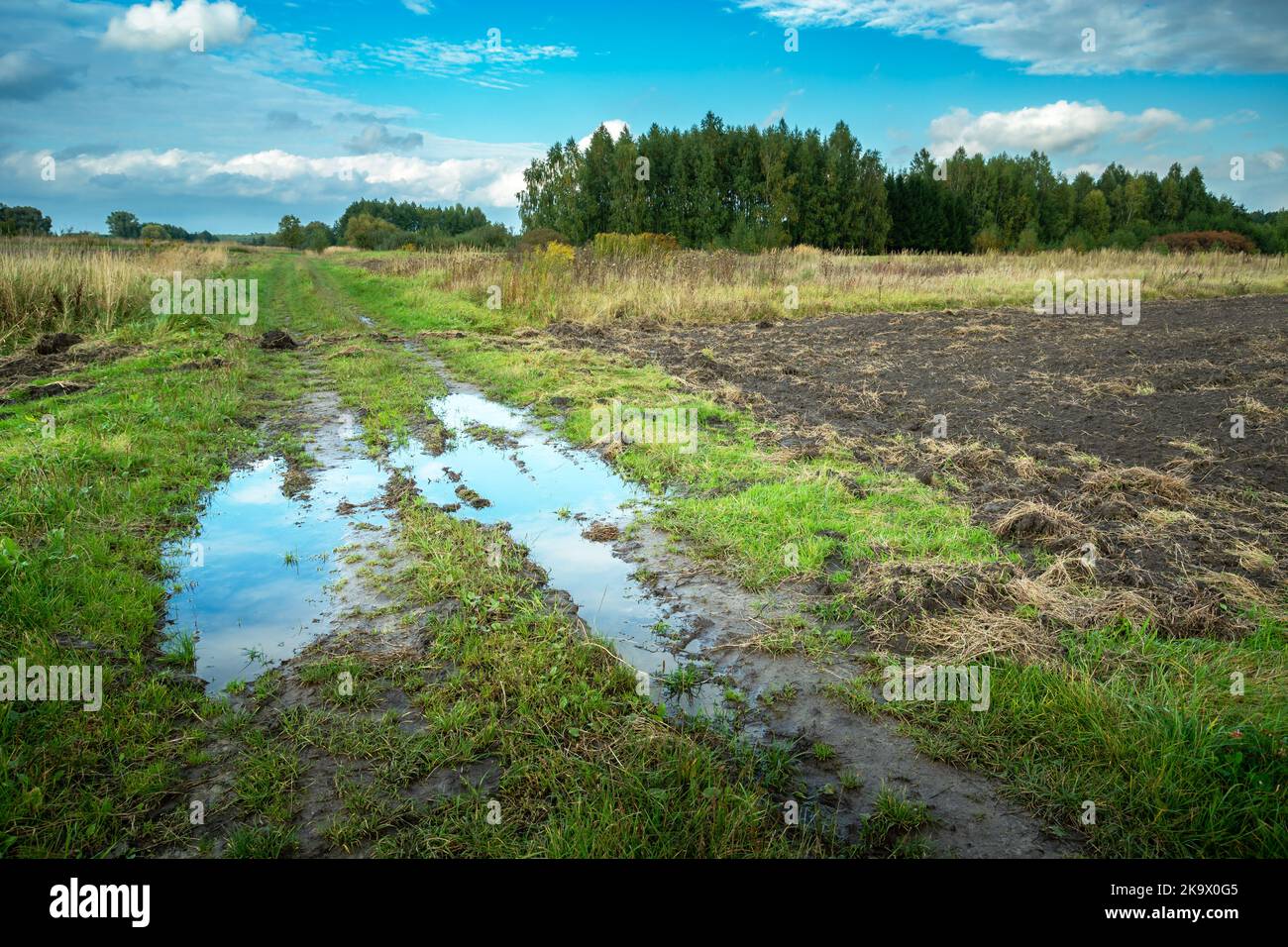 Puddle after rain on dirt road and fields, rural view in the eastern Poland Stock Photo