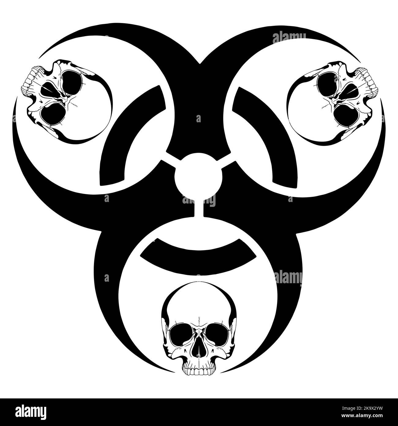 Raven in Celtic, Scandinavian style, isolated on white, vector