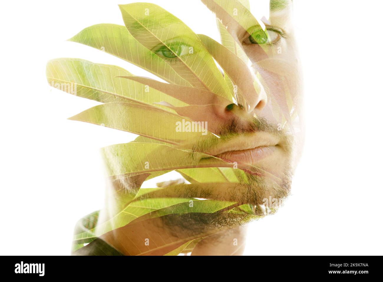 Double exposure man tree hi-res stock photography and images - Alamy