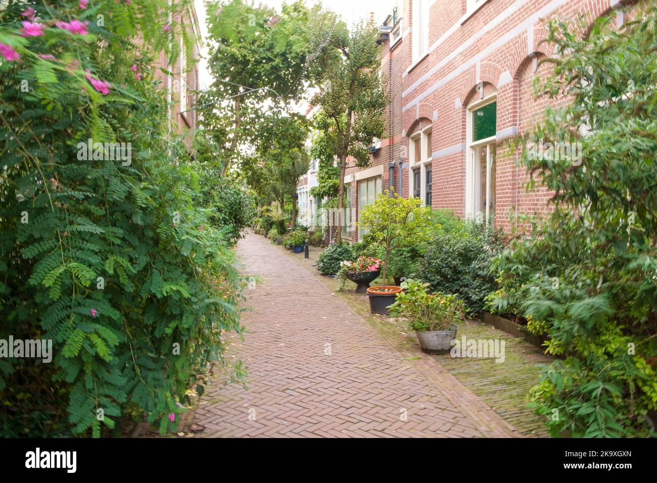 Haarlem, Netherlands - October 22nd 2022: Typical Residential Lane in the Centre of Haarlem. Stock Photo