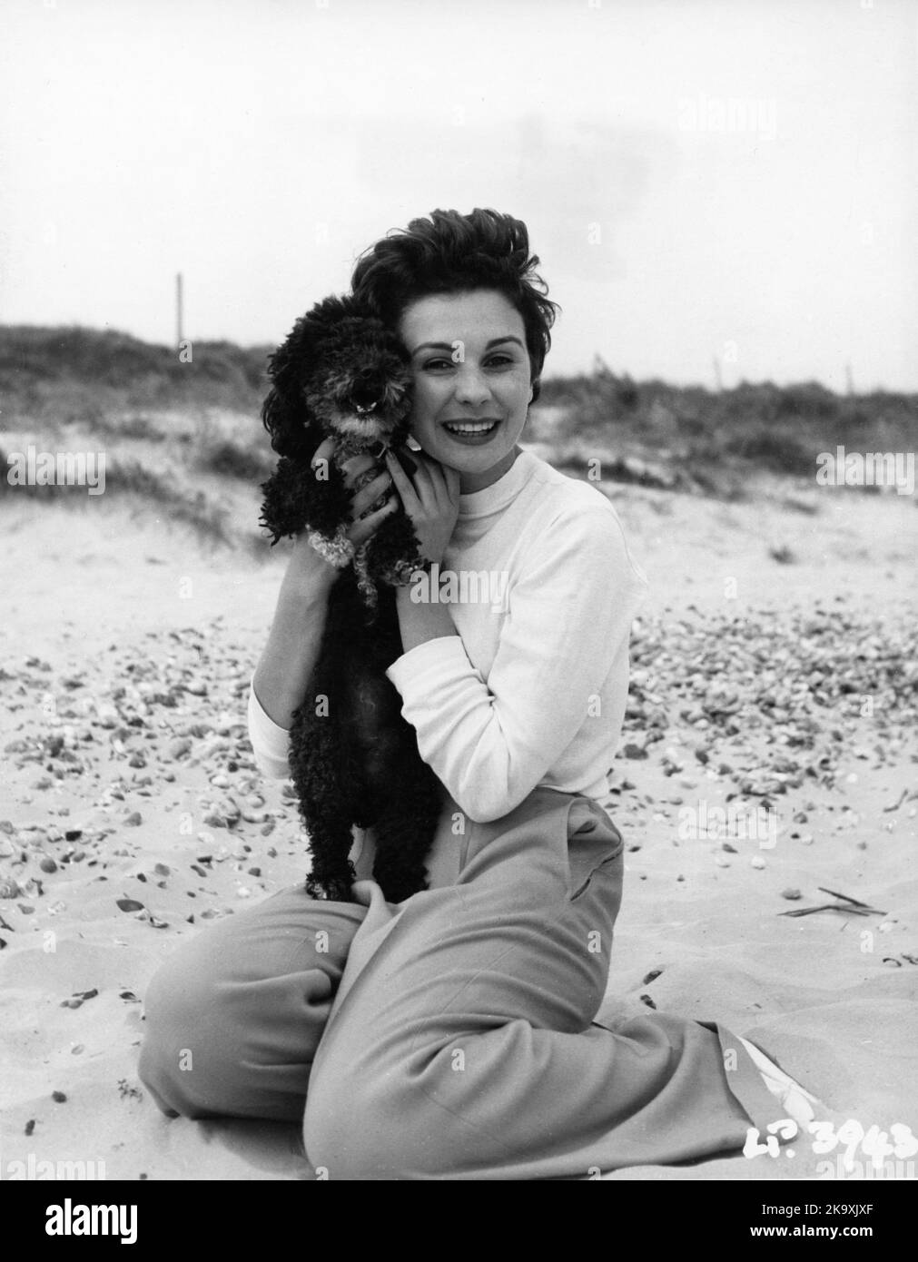 JEAN SIMMONS circa 1950 on beach with Poodle Dog publicity for J. Arthur Rank Organisation Ltd. Stock Photo