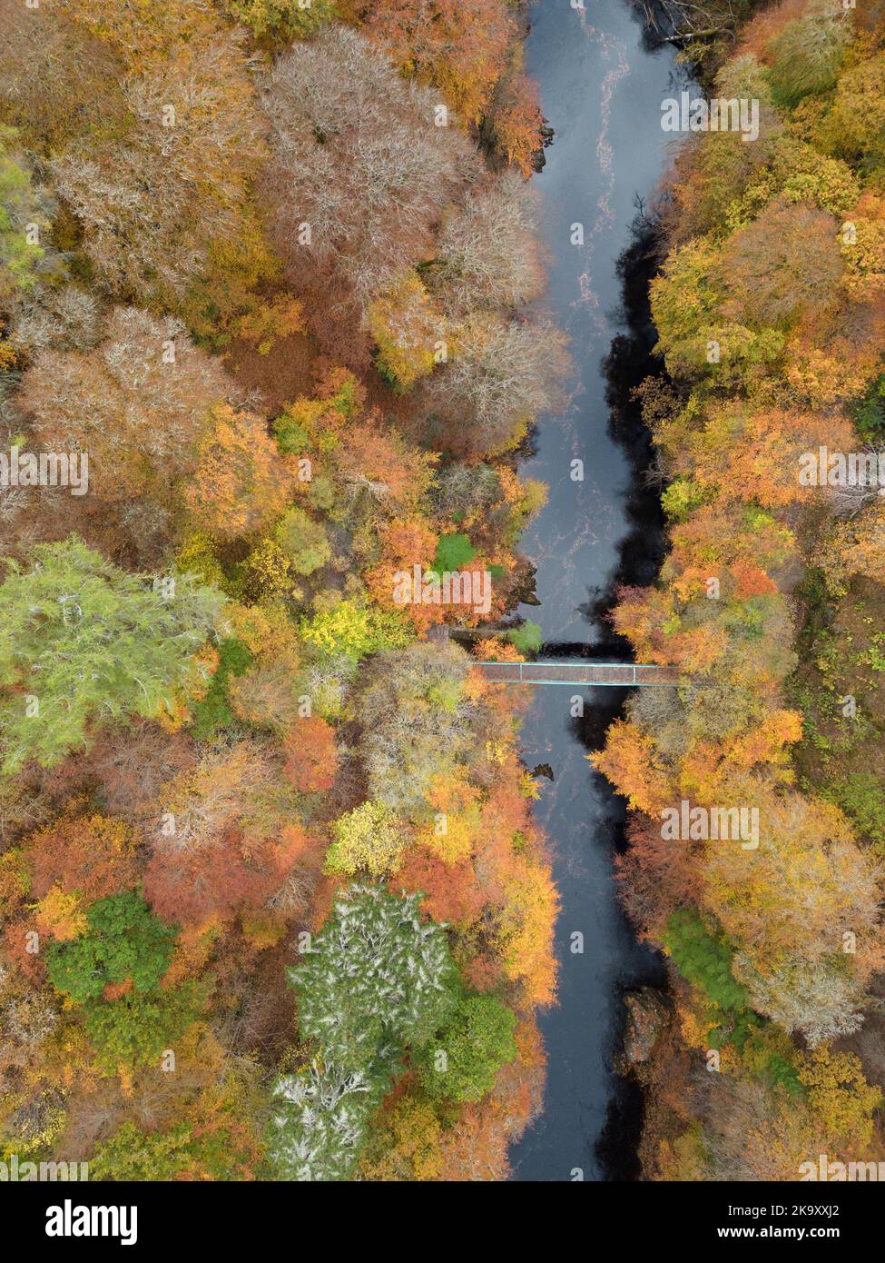 Late autumn forest aerial hi-res stock photography and images - Alamy