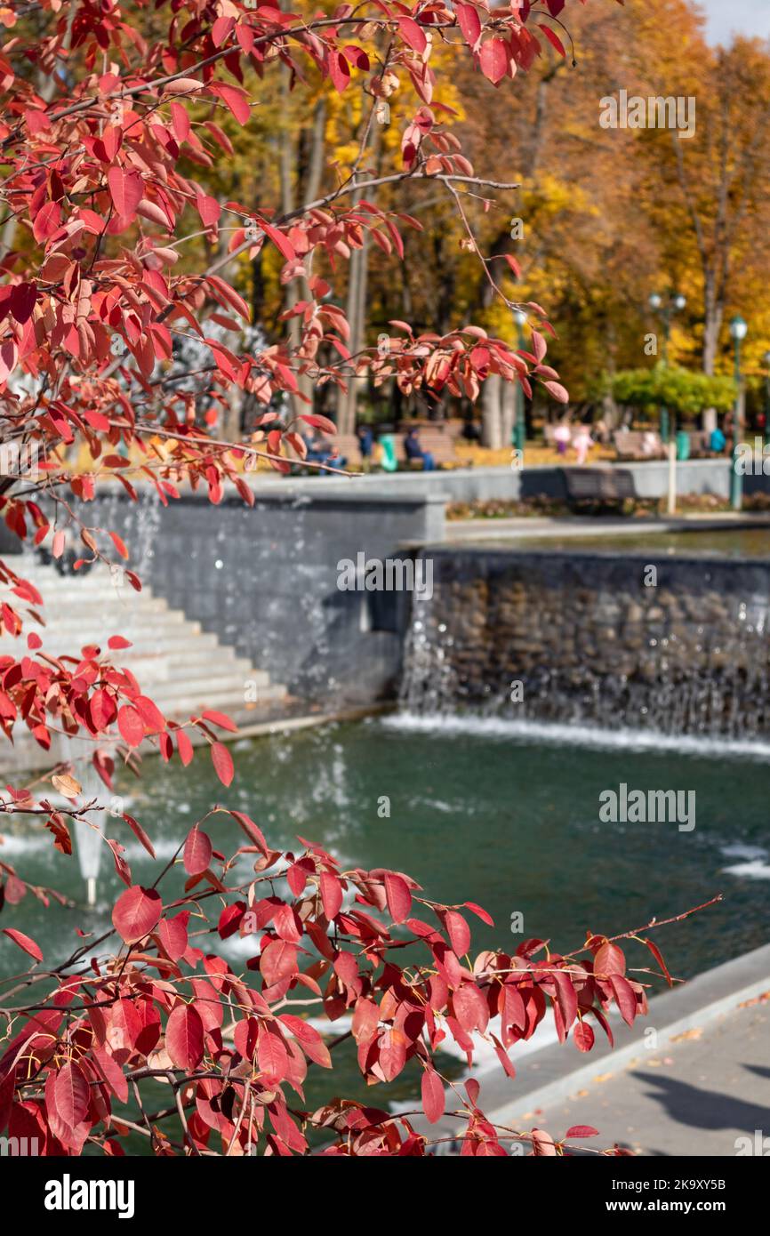 Red autumn trees and fountains in recreation area in Shevchenko City Garden. Tourist attraction in central city park, Kharkiv Ukraine Stock Photo