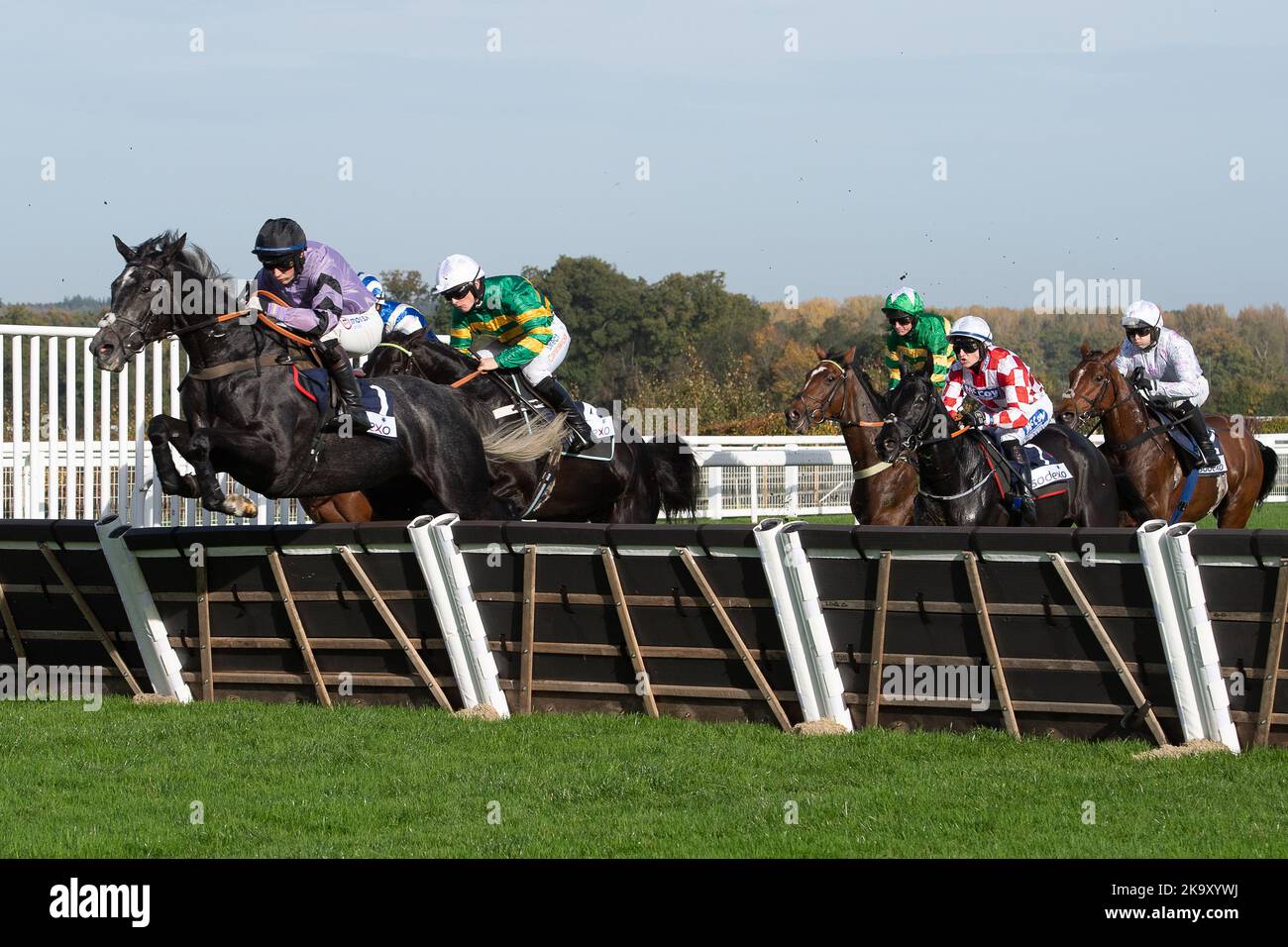 Ascot, Berkshire, UK. 29th October, 2022. Horse Hacker Des Places ridden by jockey Angus Cheleda (purple silks) clears a hurdle in the first mile before coming second in the Bateux London Handicap Hurdle Race. Owner Owners Group o68. Trainer Paul Nicholls, Ditcheat. Credit: Maureen McLean/Alamy Live News Stock Photo