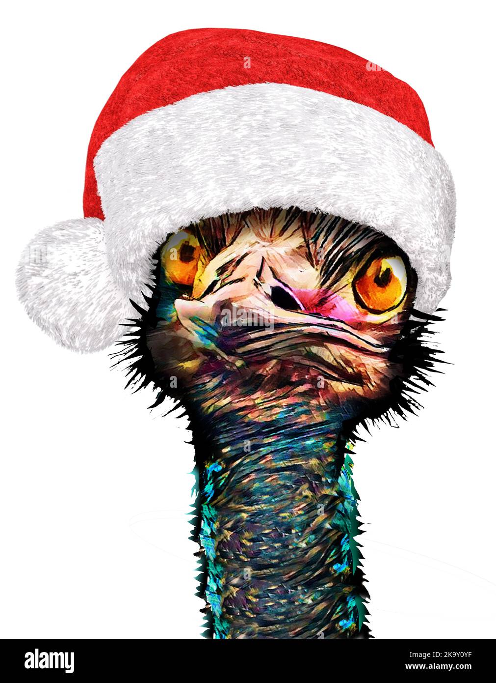 A funny looking emu bird wears a santa hat in this christmas themed 3-d illustration isolated on a white background Stock Photo