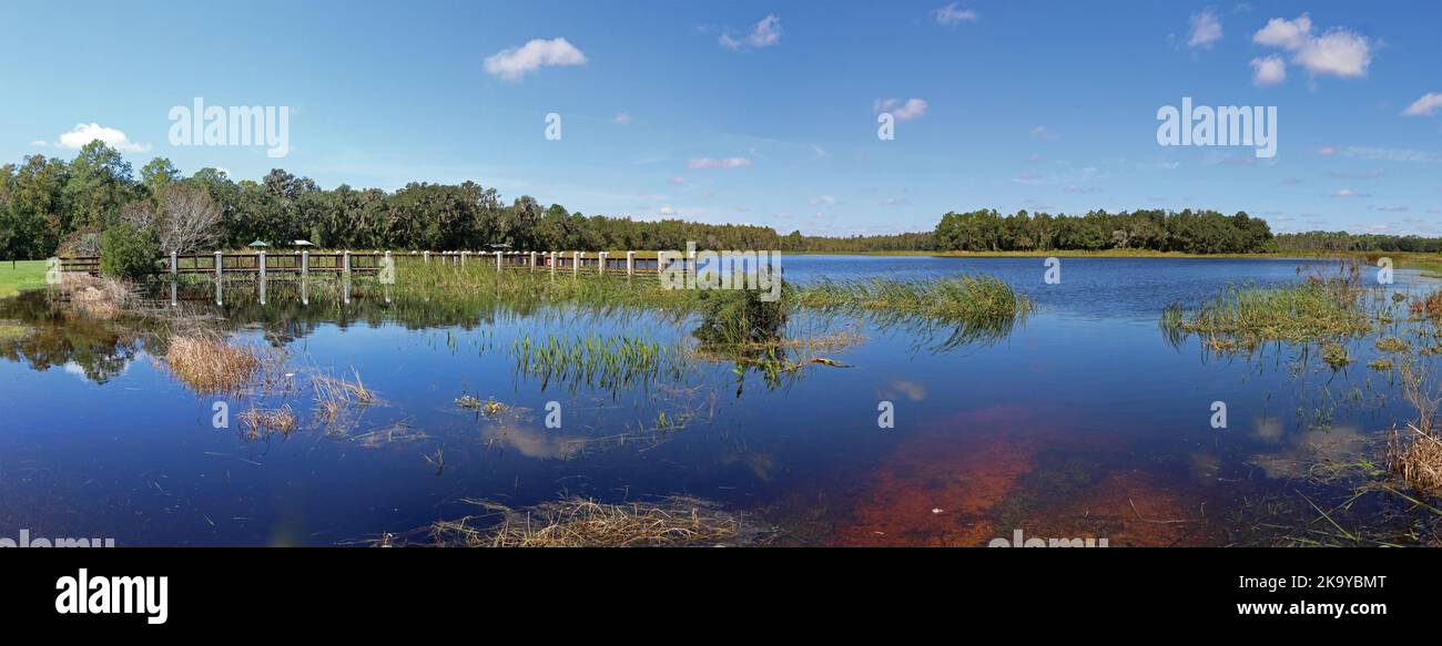 Panoramic of the lake at Colt Creek State Park, Florida Stock Photo