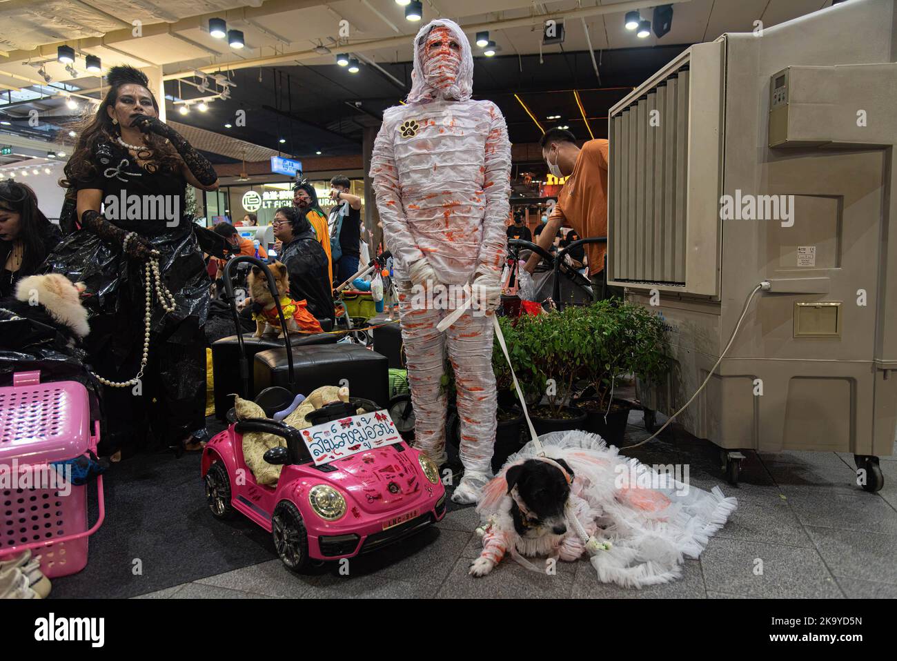 Bangkok, Thailand. 30th Oct, 2022. Dog owner and her dog seen dressed in costumes during the Halloween dogs dressing contest at Central Eastville in Bangkok. The event was held to celebrate Halloween festival. Credit: SOPA Images Limited/Alamy Live News Stock Photo