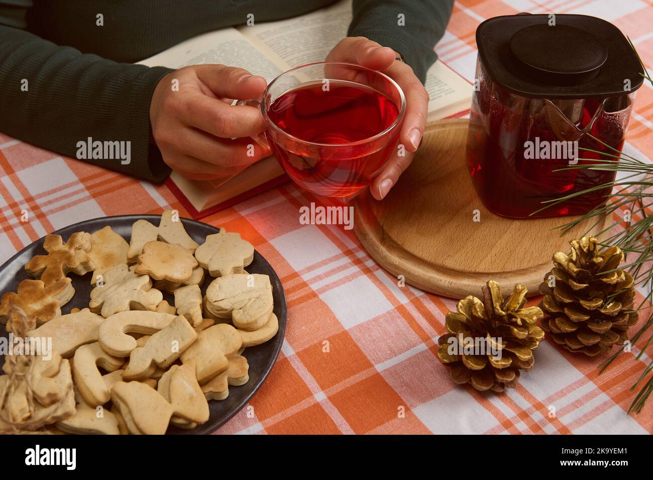 Close-up of a woman warming her hands with a cup of hot drink while reading a book while having tea with gingerbread Stock Photo