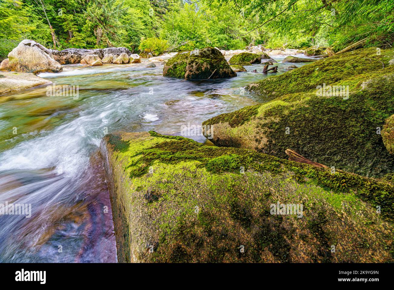Beautiful clear river flowing through the Great Bear Rainforest, Kingcome Inlet, First Nations Territory, British Columbia, Canada. Stock Photo