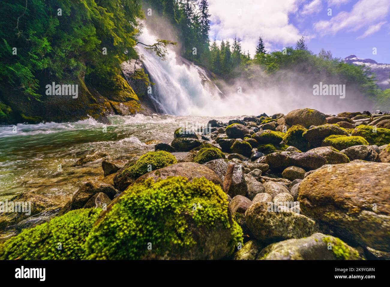 Riverbank along the Kingcome River Valley in the Musgmagw Dzawada'enuwx ...