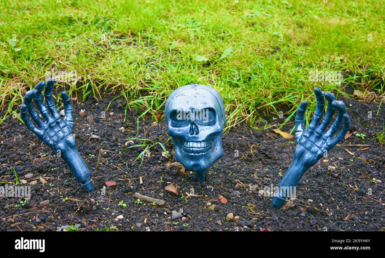 We've got a skeleton in the garden Stock Photo