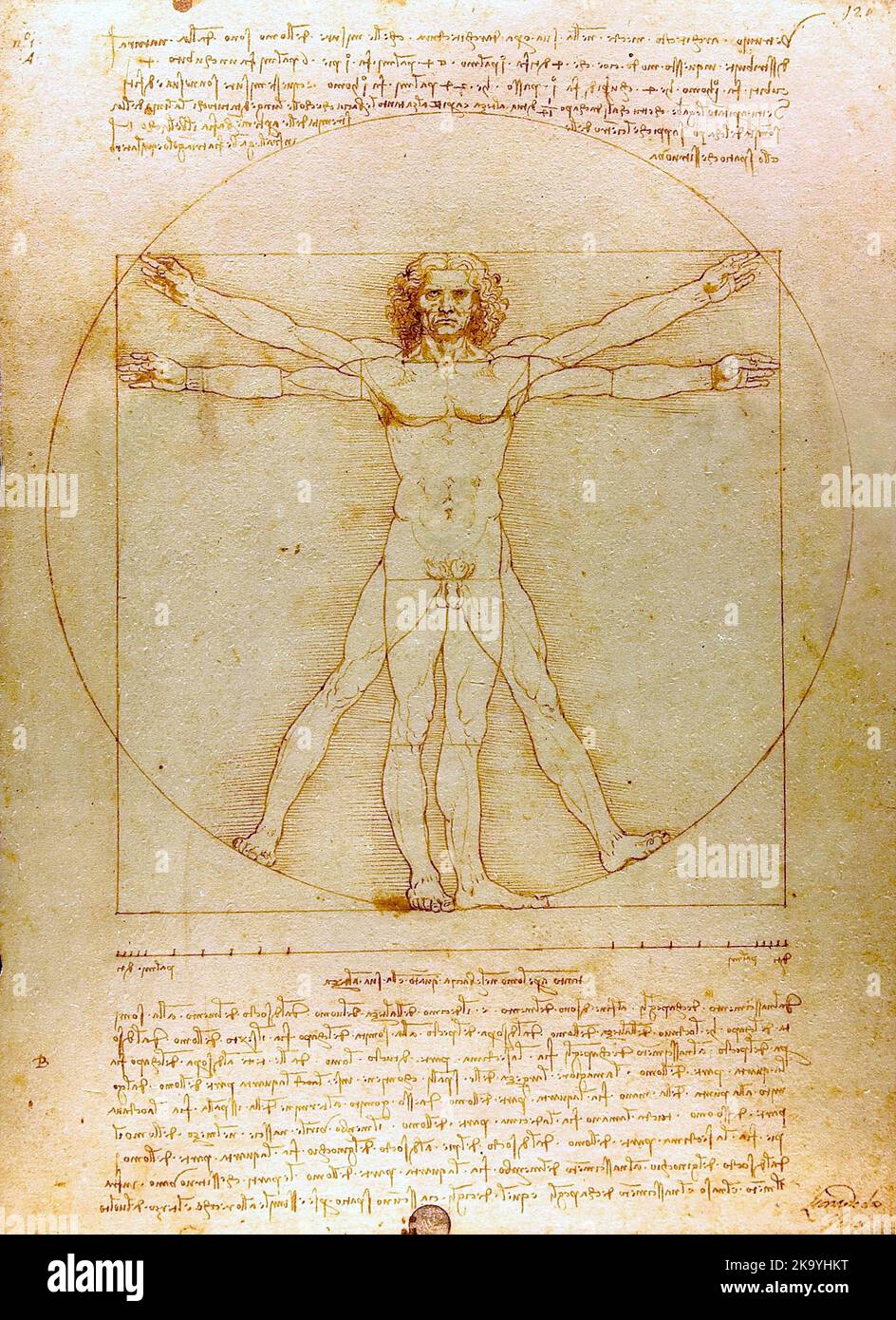 The Vitruvian Man (1485) by Leonardo da Vinci Stock Photo