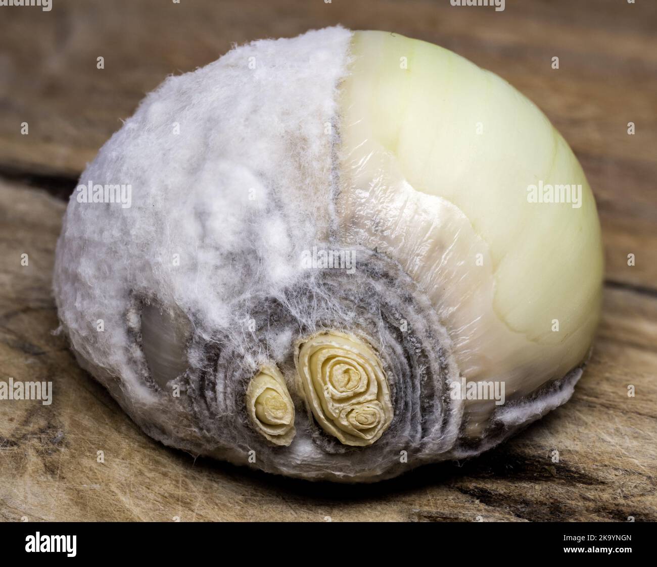 Rotten onions hires stock photography and images Alamy