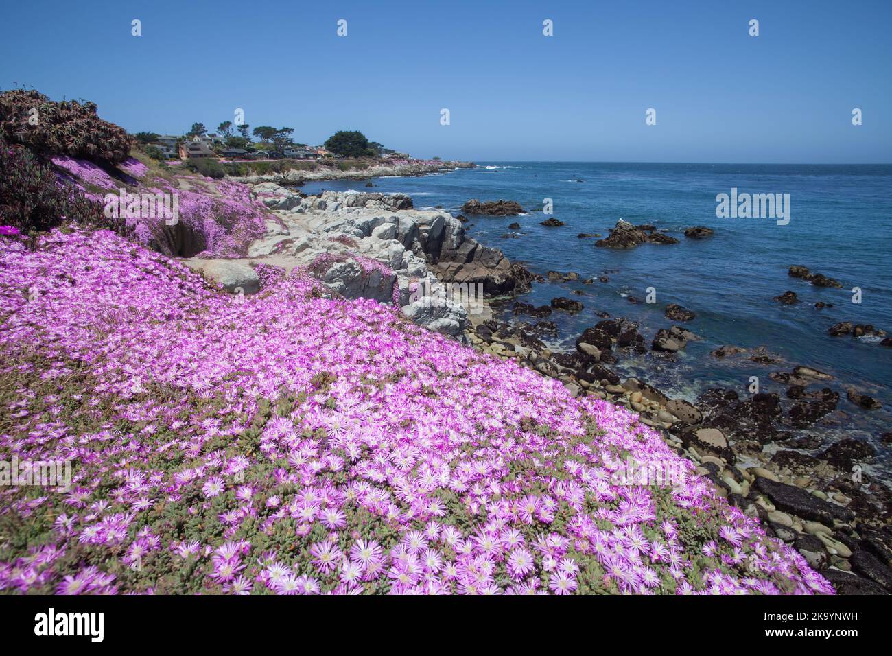 Lovers Point Beach, Monterey, California, USA Stock Photo