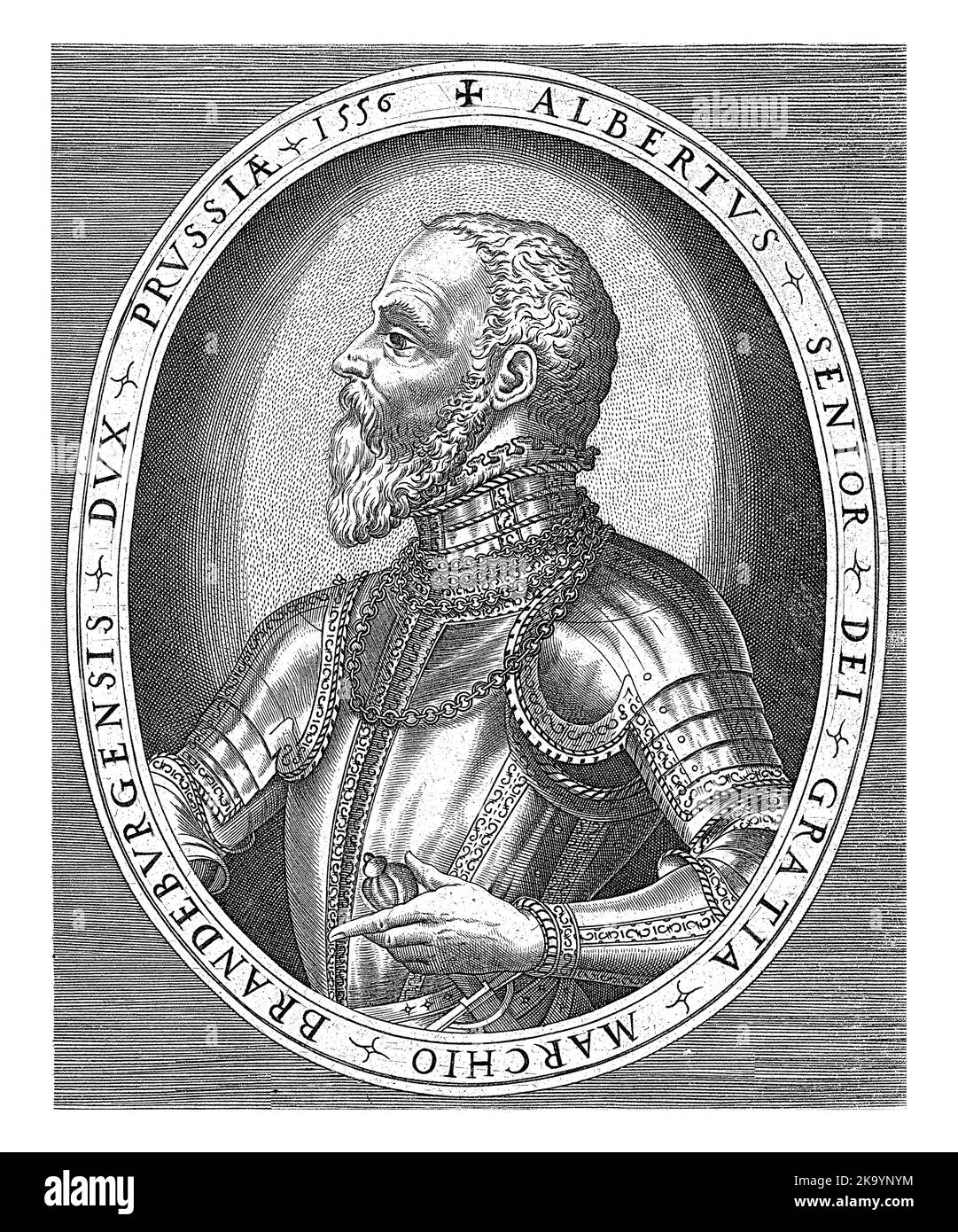 Half-length portrait to the left of Albrecht Friedrich, Margrave of ...