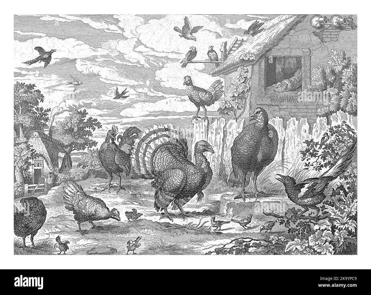 Different poultry at a farm house and a dovecote. In the foreground are a turkey, a number of chickens, a rooster and other fowl. Stock Photo