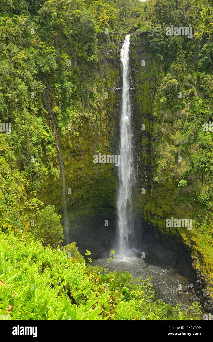 Scenic impressions from the magic landscape and eastern coastline along Mamalahoa Hwy towards Hilo, Big Island HI Stock Photo