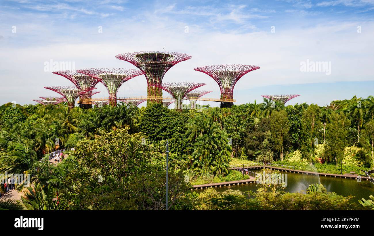 Supertree Grove - Gardens by the Bay, Singapore Stock Photo