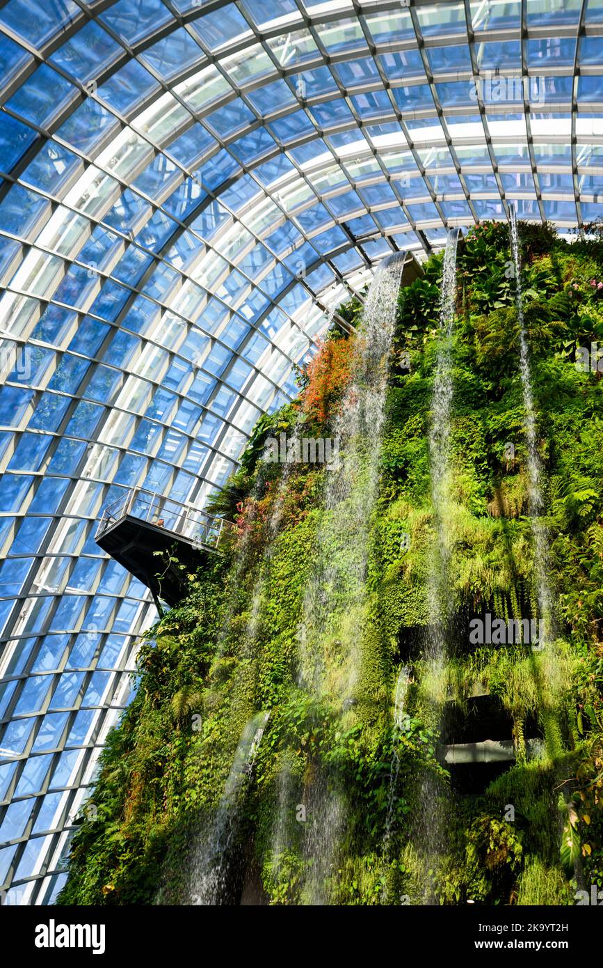 Cloud forest greenhouse - botanical garden in Marina Bay, Singapore Stock Photo